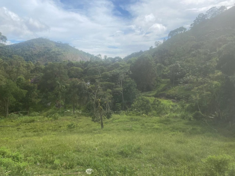 Sítio,Venda,SITIO,1159