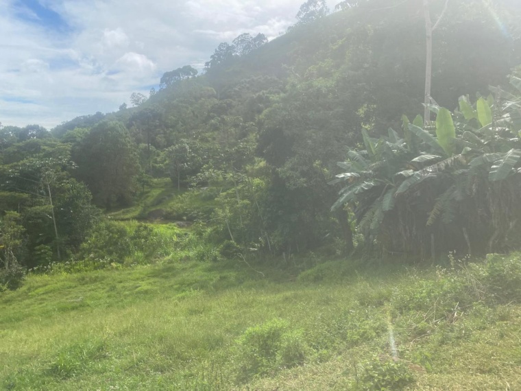 Sítio,Venda,SITIO,1159