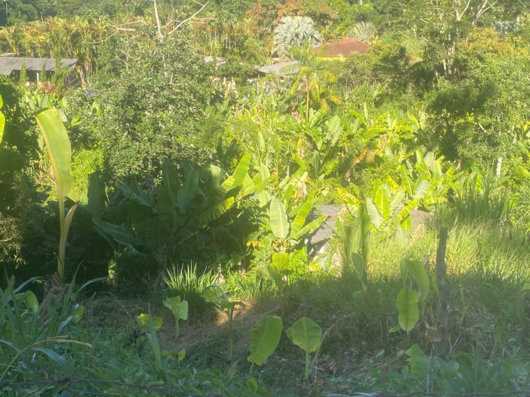 Lote,Venda,LOTE,1170