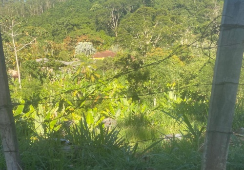 Lote,Venda,LOTE,1170