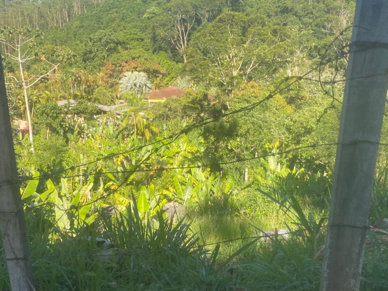 Lote,Venda,LOTE,1170