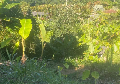 Lote,Venda,LOTE,1170