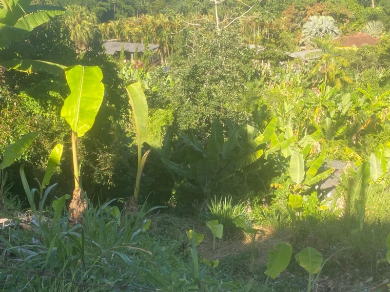 Lote,Venda,LOTE,1170