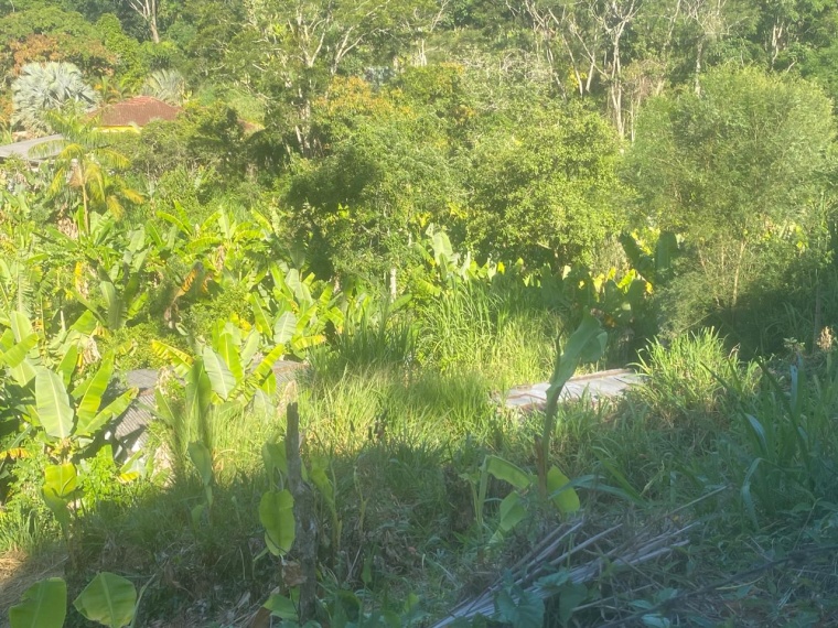 Lote,Venda,LOTE,1170