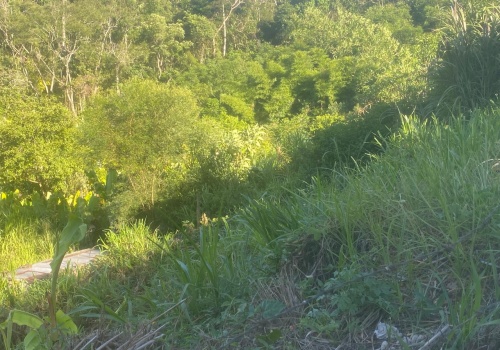 Lote,Venda,LOTE,1170