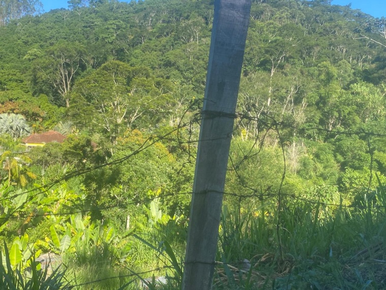 Lote,Venda,LOTE,1170