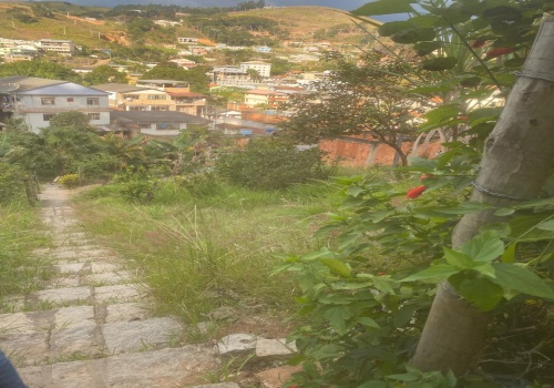 Chácaras,Venda,TERRENO,1177