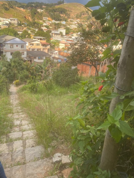 Chácaras,Venda,TERRENO,1177