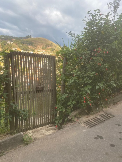 Chácaras,Venda,TERRENO,1177