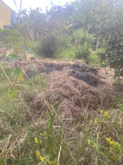 Chácaras,Venda,TERRENO,1177