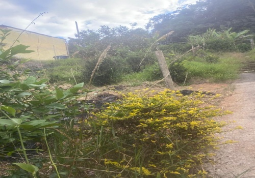 Chácaras,Venda,TERRENO,1177