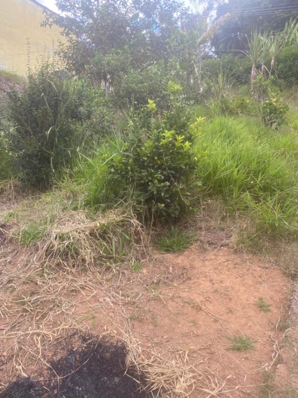 Chácaras,Venda,TERRENO,1177