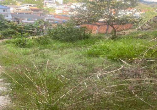 Chácaras,Venda,TERRENO,1177