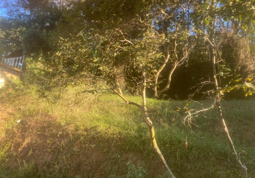 Casa,Venda,CASA,1178