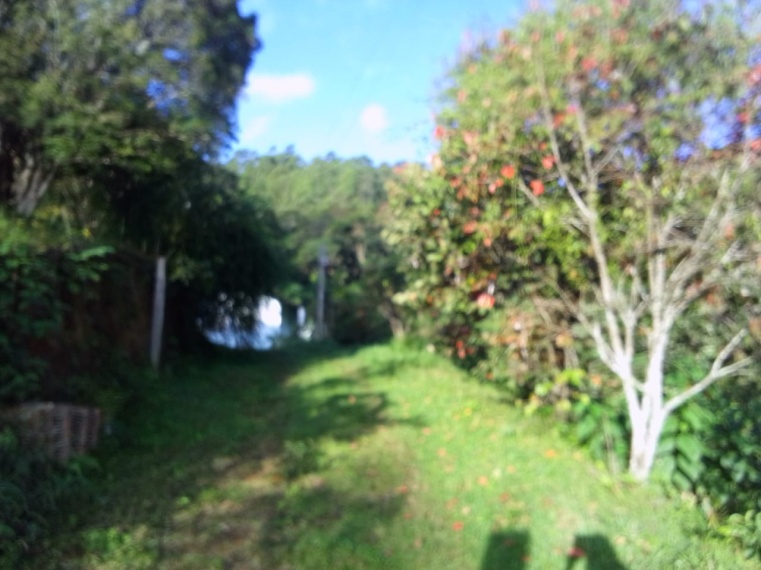 Sítio,Venda,SITIO,1181