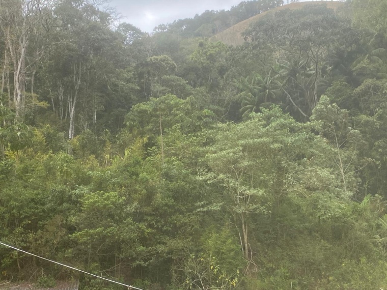 Sítio,Venda,SITIO,1181