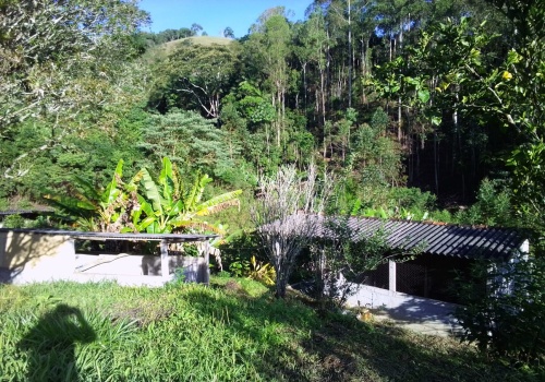 Sítio,Venda,SITIO,1181