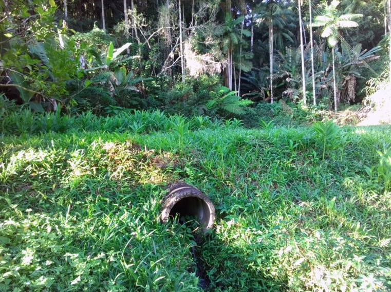 Sítio,Venda,SITIO,1181