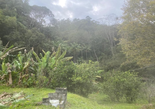 Sítio,Venda,SITIO,1181