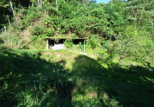 Sítio,Venda,SITIO,1181