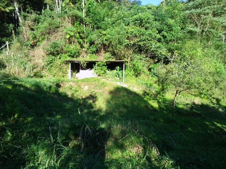 Sítio,Venda,SITIO,1181