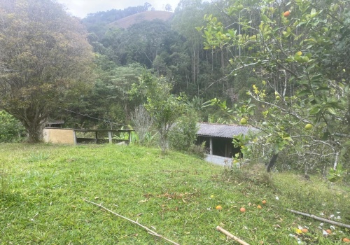 Sítio,Venda,SITIO,1181