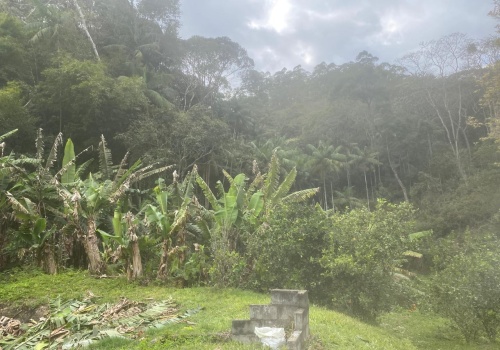 Sítio,Venda,SITIO,1181