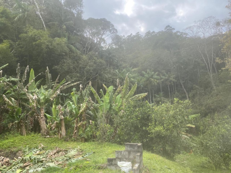 Sítio,Venda,SITIO,1181