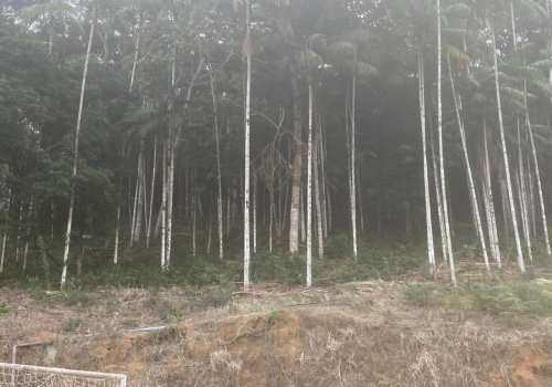 Sítio,Venda,SITIO,1182