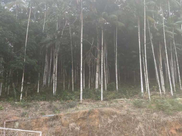 Sítio,Venda,SITIO,1182