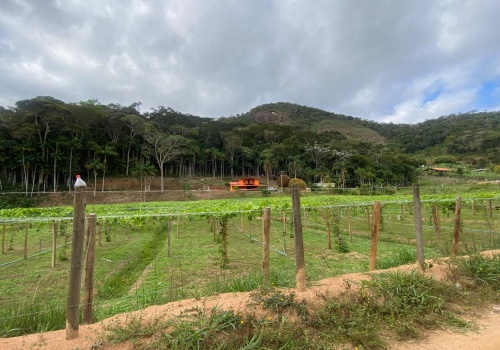 Sítio,Venda,SITIO,1182