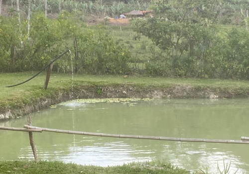 Sítio,Venda,SITIO,1182