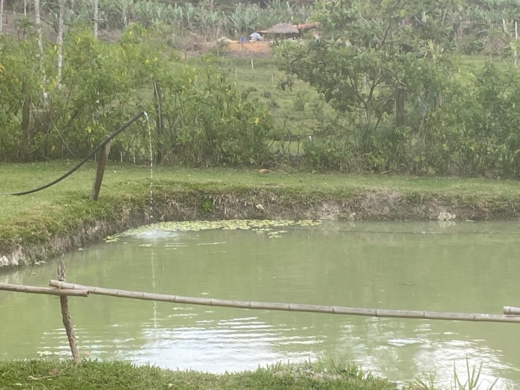 Sítio,Venda,SITIO,1182