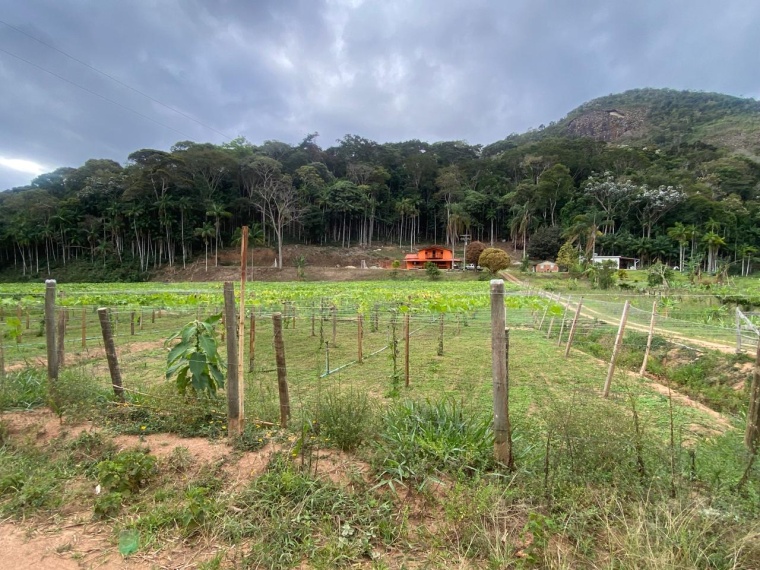 Sítio,Venda,SITIO,1182