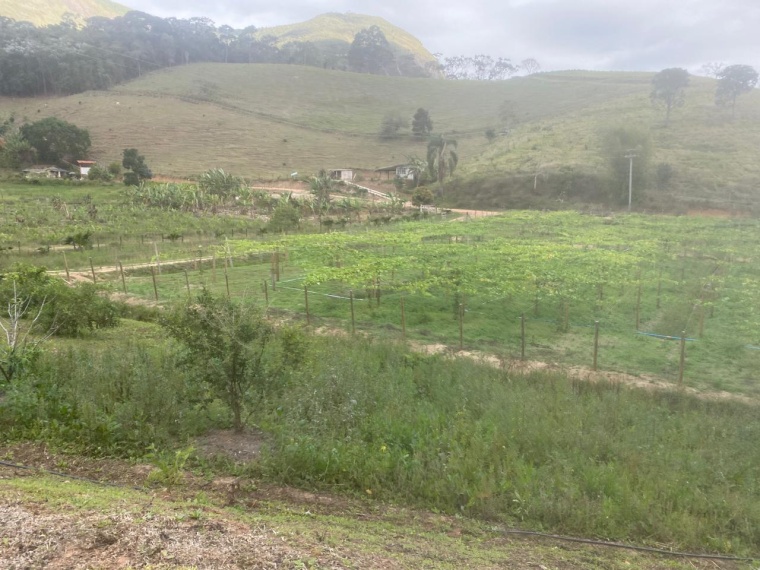 Sítio,Venda,SITIO,1182