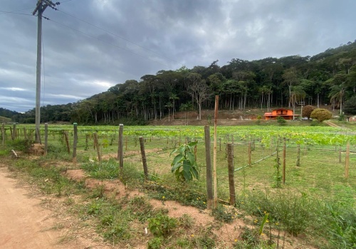 Sítio,Venda,SITIO,1182