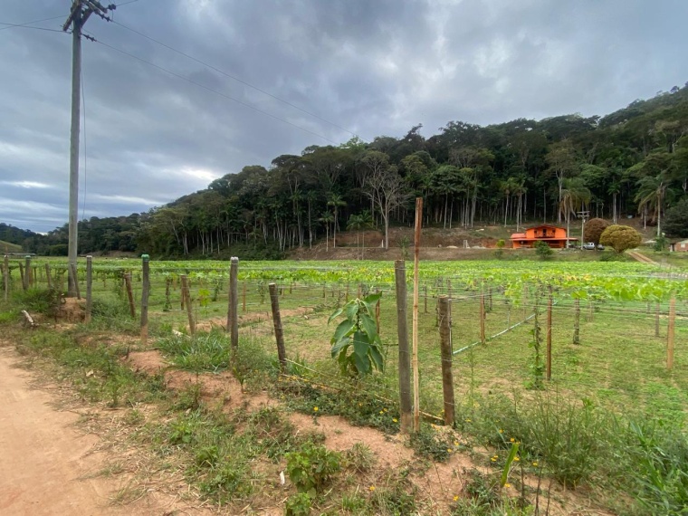 Sítio,Venda,SITIO,1182