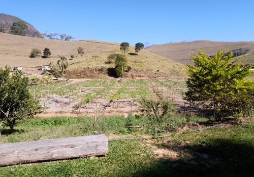 Sítio,Venda,SITIO,1182