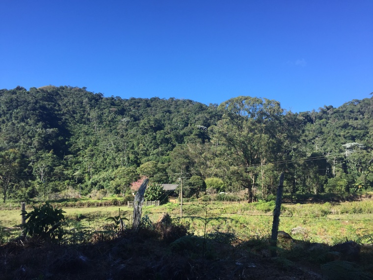 Fazendas,Venda,FAZENDA,1185