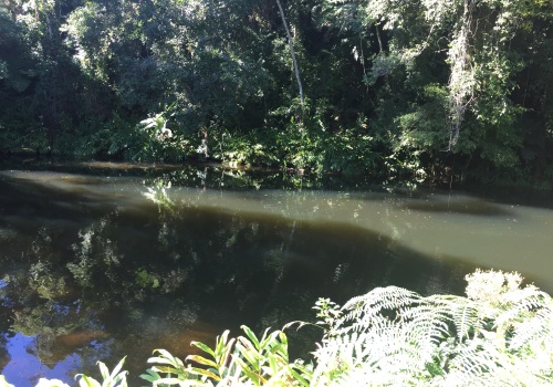 Fazendas,Venda,FAZENDA,1185