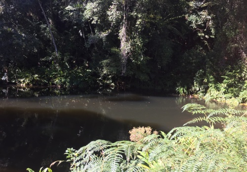 Fazendas,Venda,FAZENDA,1185