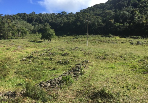 Fazendas,Venda,FAZENDA,1185