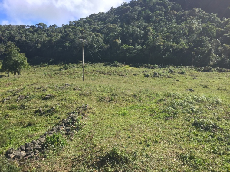 Fazendas,Venda,FAZENDA,1185