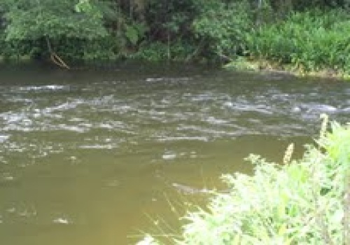 Fazendas,Venda,FAZENDA,1185