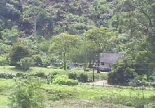 Fazendas,Venda,FAZENDA,1185