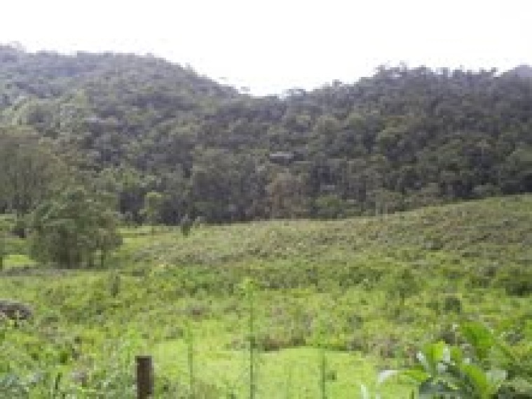 Fazendas,Venda,FAZENDA,1185