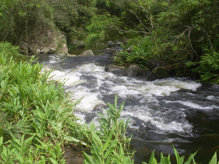 Fazendas,Venda,FAZENDA,1185