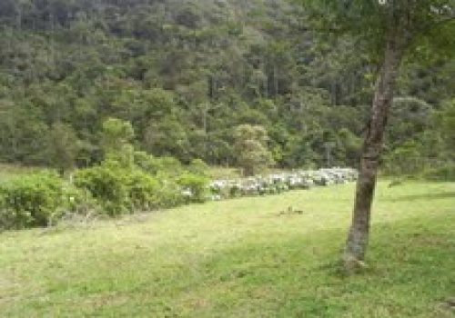 Fazendas,Venda,FAZENDA,1185