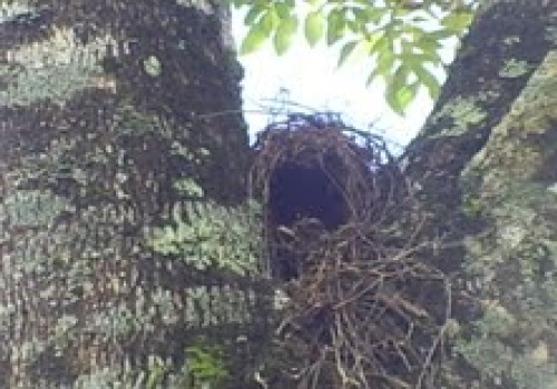 Fazendas,Venda,FAZENDA,1185