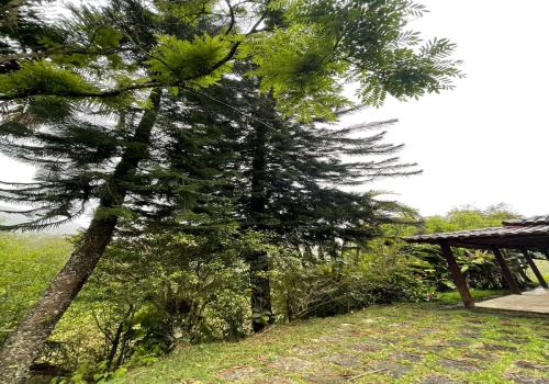 Sítio,Venda,SITIO,1187